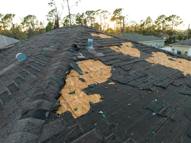 Best Steel Roofing  in San Juan Bautista, CA
